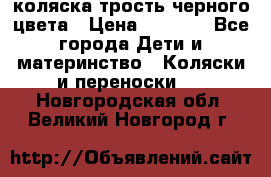 коляска трость черного цвета › Цена ­ 3 500 - Все города Дети и материнство » Коляски и переноски   . Новгородская обл.,Великий Новгород г.